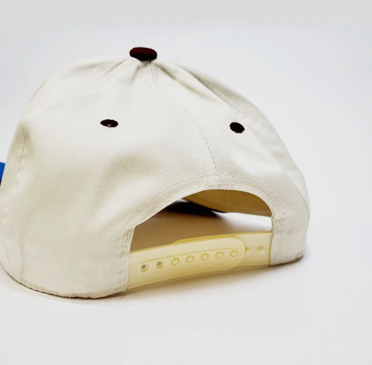 VIRAL WATERPROOF ARKANSAS PATCH Hat